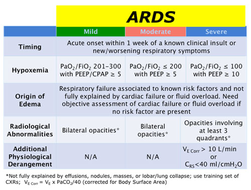 Berlin Definition Of Ards Pdf Viewer